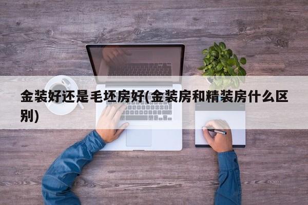 金装好还是毛坯房好(金装房和精装房什么区别)