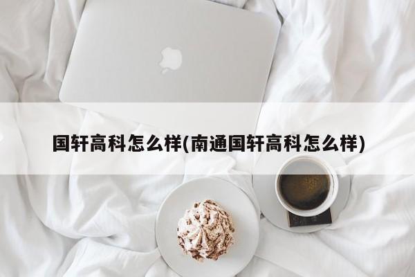 国轩高科怎么样(南通国轩高科怎么样)