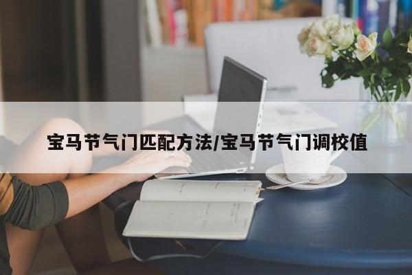 宝马节气门匹配方法/宝马节气门调校值