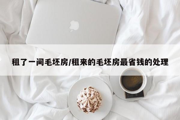 租了一间毛坯房/租来的毛坯房最省钱的处理